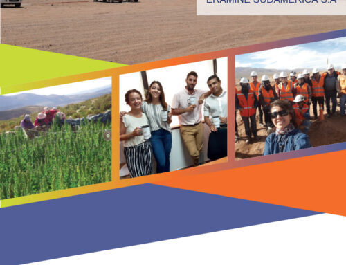 2019 Sustainability report